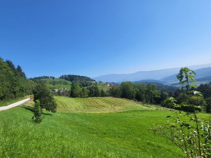 Silageballen, Rundballen