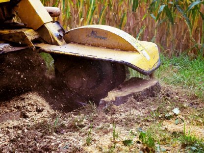 Bild 4:Forststraßen freischneiden, Stockfräsen