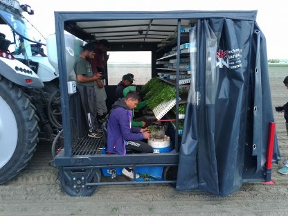 Bild 2:Pflanzensetzen 2025 (Speedies) mit Ferrari F-Max 6x50 cm