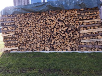 Bild 2:Brennholz