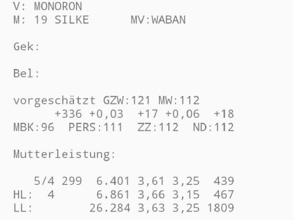 BIO Heumilch Kalb zu verkaufen