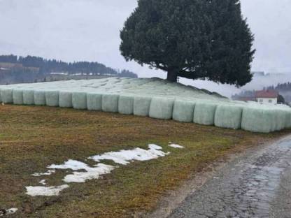 Silageballen