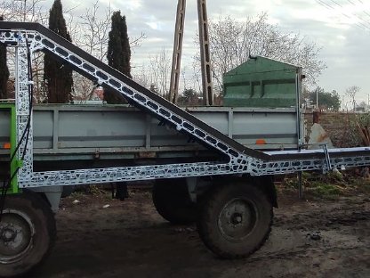 Bild 2:Belt harvesting conveyor broccoli cabbage - Kohl, Brokkoli