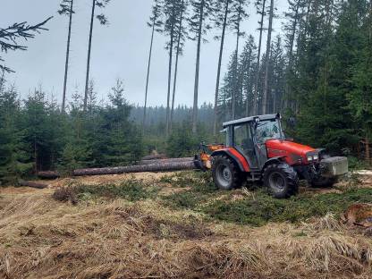 Bild 2:Forstarbeiten und Holzbringung