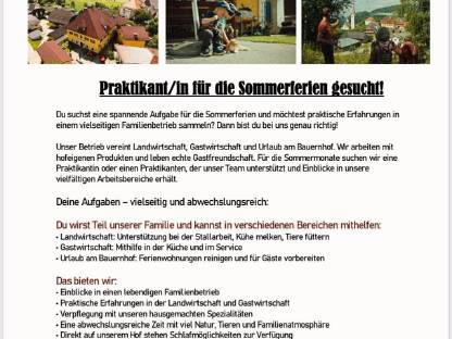 Praktikanten/innen