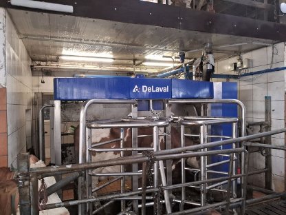 Delaval Melkroboter Classic