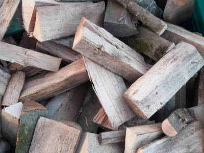 Bild 2:Brennholz Buche