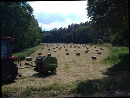 Heu kleine Bunde Mini Rundballen