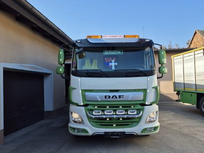 LKW Verkauf DAF 340