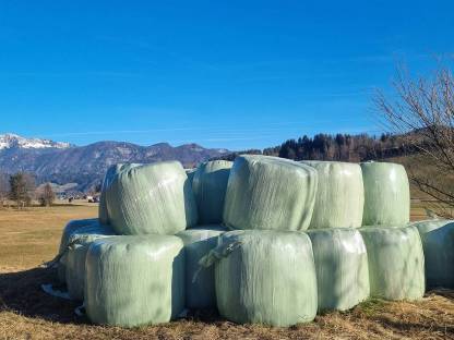 Silageballen