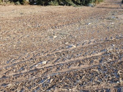 Bild 6:Forstmulchen und Rekultivieren