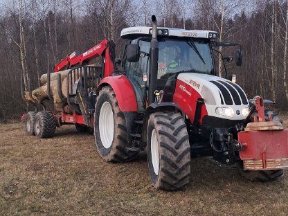 Bild 2:Holzschlägerung, Rückung, Durchforstung