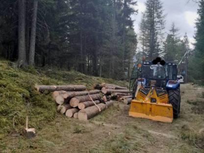 Bild 3:Holzschlägerung und Durchforstung