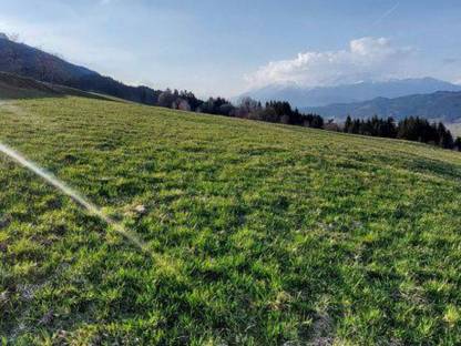 Landwirtschaftliche Nutzfläche zu verpachten