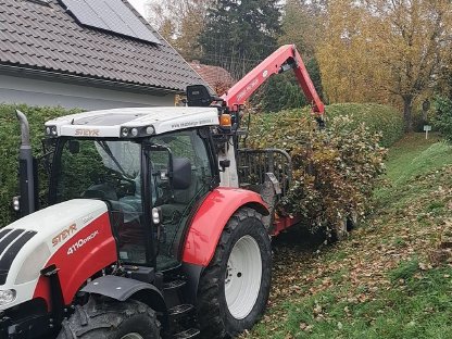 Bild 9:Holzschlägerung, Rückung, Durchforstung