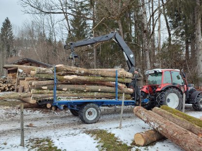 Suche Holzrückewagen mit mittelgroßem kran