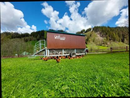 Mobiler Hühnerstall (Mitterbauer Mbs 200)