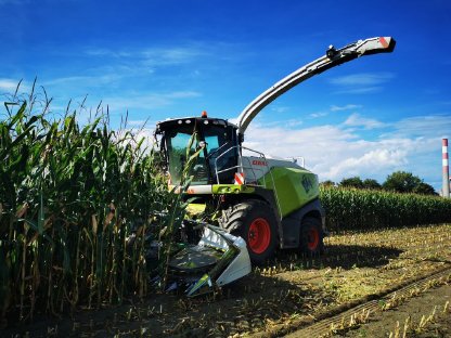 Bild 4:Übernehme Häckselarbeiten