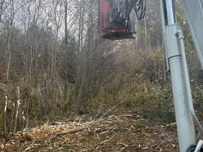 Bild 8:Forstmulchen Böschung und Flächen Takeuchi TB290