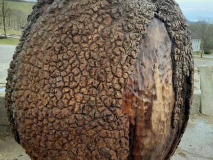 Bild 4:Künstler Baumstamm