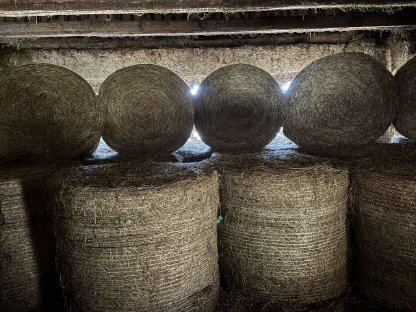 Ballen zu verkaufen