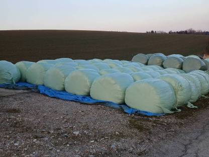 Silageballen