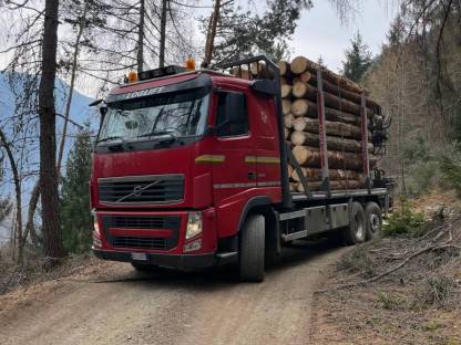 Holzauto Volvo FH 540