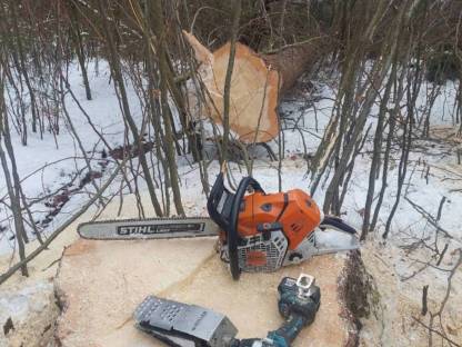 Bild 7:Forstarbeiten und Holzbringung