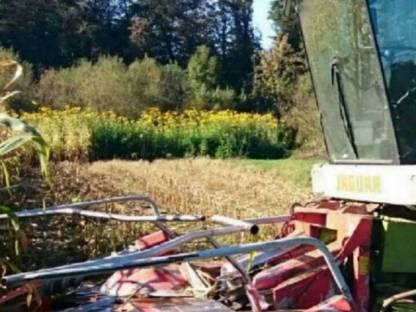 Bild 6:Kemper Champion M 4500 für Claas Jaguar 600er und 800er