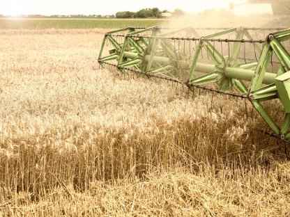 5.000 Hektar Ackerland steht zum Verkauf