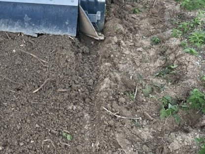 Bild 3:Rekultivierung