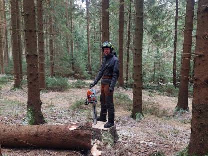 Bild 9:Forstarbeiten und Holzbringung