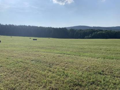 Silo und Bio-Silageballen