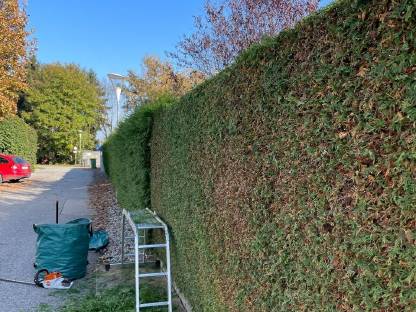 Bild 3:Grünraumpflege