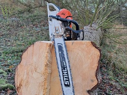 Bild 3:Holzschlägerung, Rückung, Durchforstung