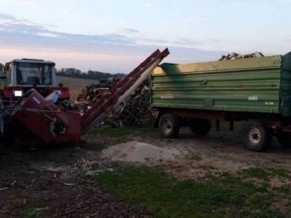 Holzschneiden mit Trommelsäge