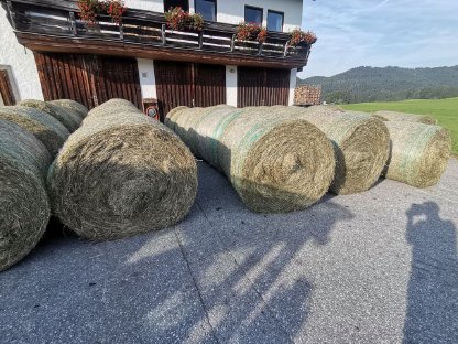 Heurundballen 1. Schnitt