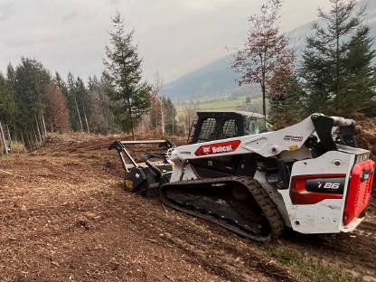 Forstmulchen mit Bobcat Raupenlader