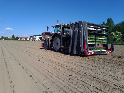 Bild 6:Pflanzensetzen 2025 (Speedies) mit Ferrari F-Max 6x50 cm