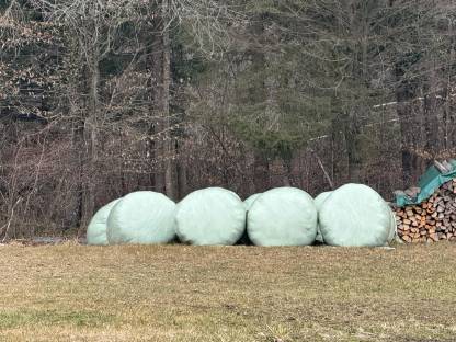 Silageballen