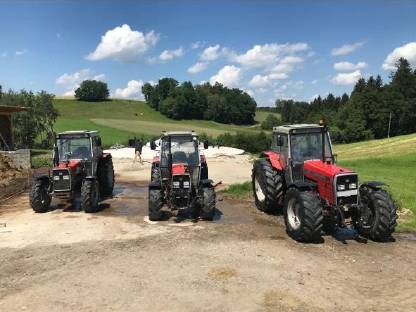 Massey Ferguson 382