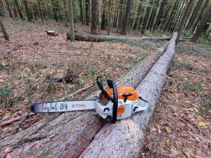 Stihl MS 261