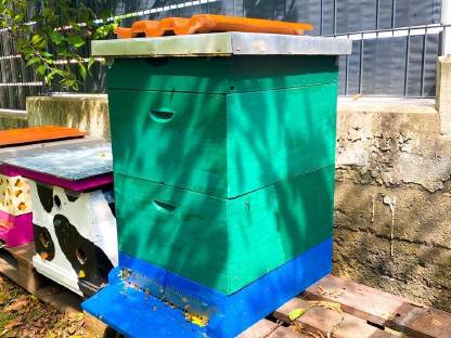 Bienenbeute Bienen Beute Zander Bienenwohnung