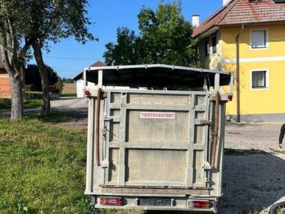 Bild 4:Lkw Mitsubishi Canter S35