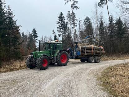 Holztransport, Rückearbeiten, Stammholztransport