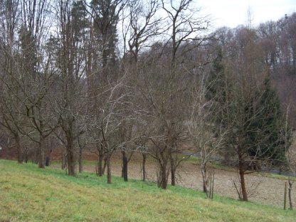Bild 3:Grundstück in Dragotinci, Slowenien