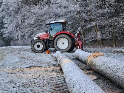 Holzschlägerung, Rückung, Durchforstung