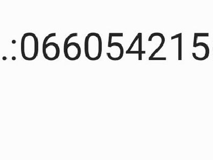 Bild 5:Hochlandrinder