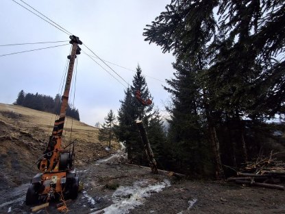 Bild 2:Forstwirtschaftliche Dienstleistungen