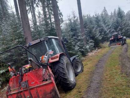 Bild 5:Forstarbeiten und Holzbringung